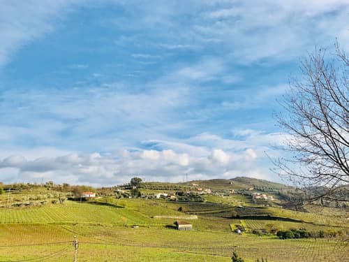 Casa Relógio de Sol, Property grounds
