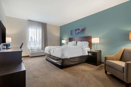 Sleep Inn & Suites Bricktown - near Medical Center, Room