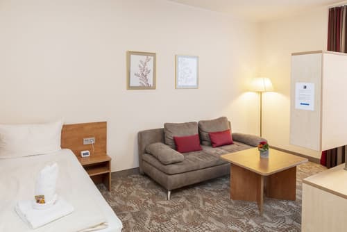 Best Western Hotel Dreilaenderbruecke, Room