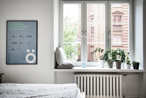 OW, by A&J - Family & Car & Dog - Liseberg & Avenue!