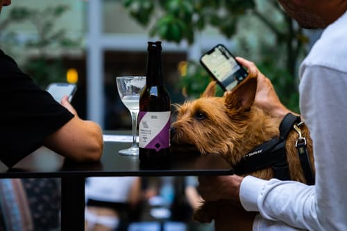 21 House of Stories Città Studi