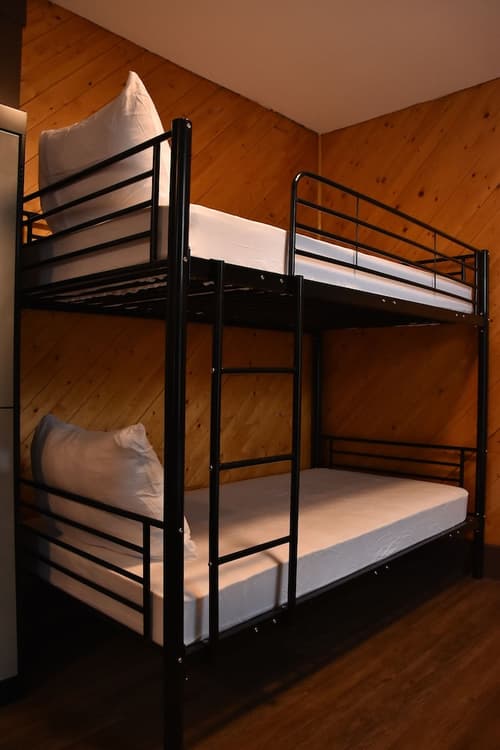 Party Hostel- Canmore Hotel Hostel