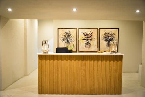 Lion Sands Narina Lodge, Reception