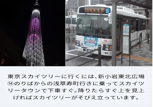 Cypress Inn Tokyo