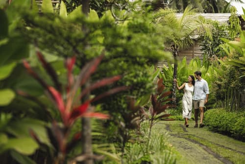Beehouse Dijiwa Ubud, Garden view