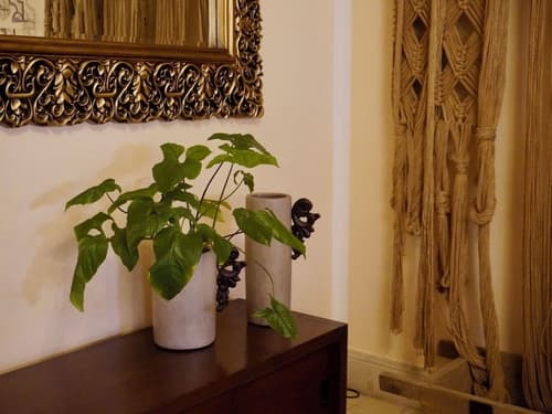 Casa Tavera, Reception