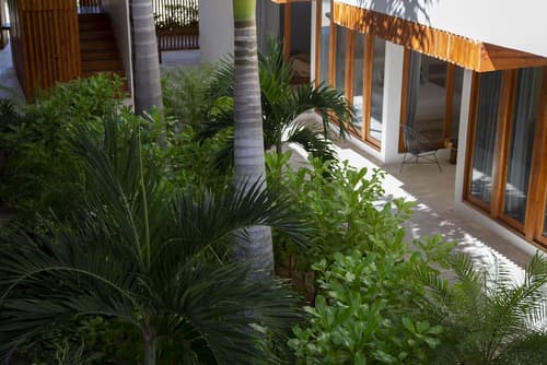 Casa Lumini Holbox, Property grounds