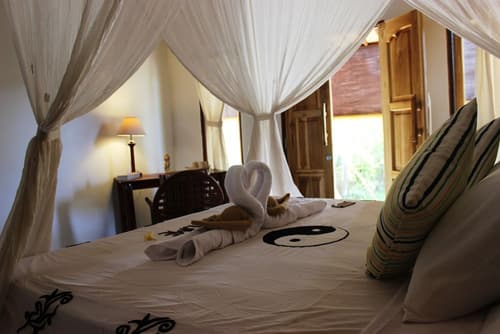 The Banyan Menjangan, Primary image