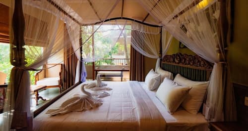 Ayur Ayur Ayurveda Retreat, Room