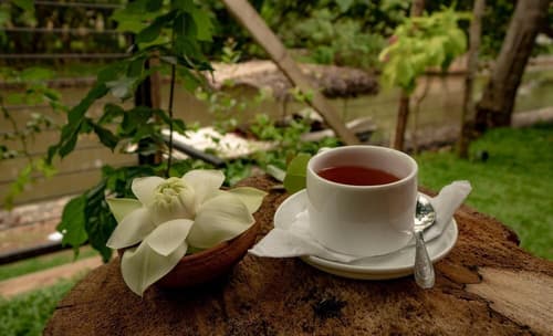 Ayur Ayur Ayurveda Retreat