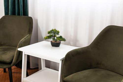 City Plaza Apartments & Rooms