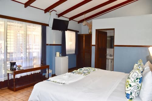 Hotel Playa Espadilla y Gardens, Room