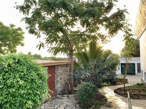 Seaclusion Diani, Property grounds