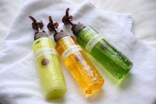 Hotel MyStays Kameido