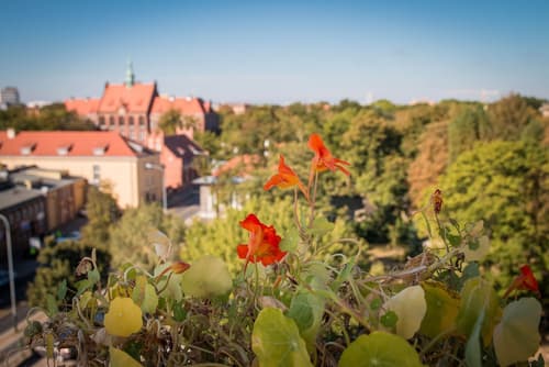 Hotel Gaja, Rooftop terrace