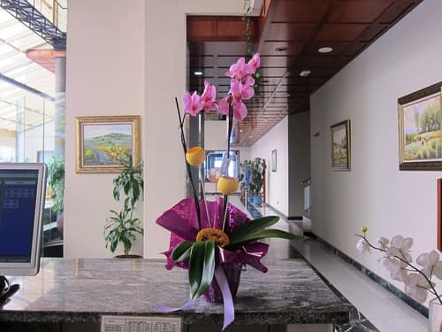 Hotel Don Ángel Roquetas de Mar, Lobby