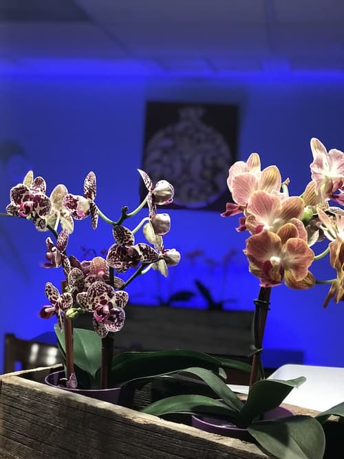 The Noor Hotel, Reception