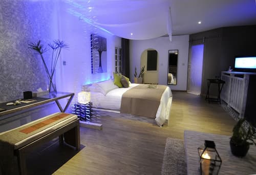 Le Domaine de L'Orangeraie, Room