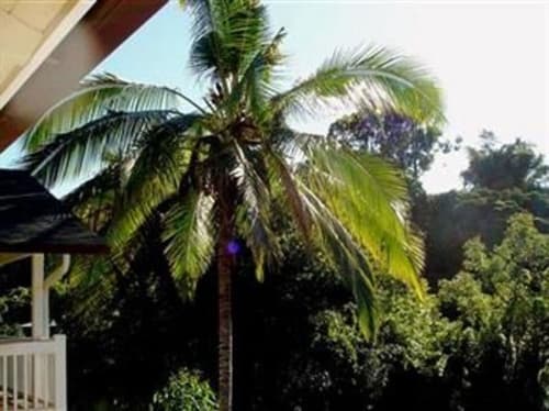 Bamboo Valley Inn, Primary image