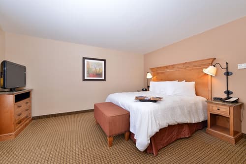 Hampton Inn & Suites Buffalo, Room
