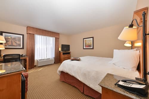 Hampton Inn & Suites Buffalo, Room