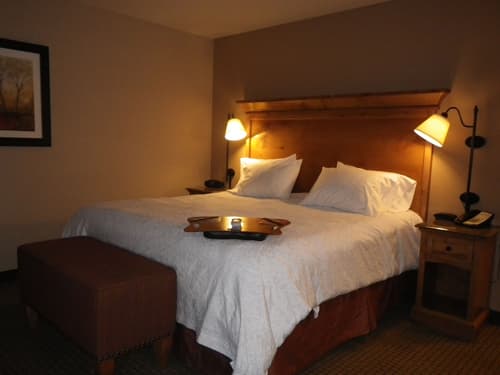 Hampton Inn & Suites Buffalo, Room