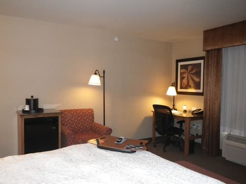 Hampton Inn & Suites Buffalo, Room