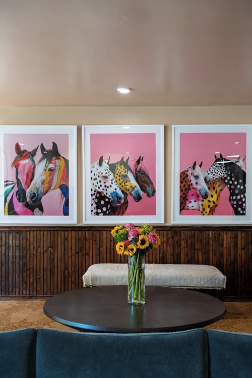 Hotel Francis, Lobby lounge