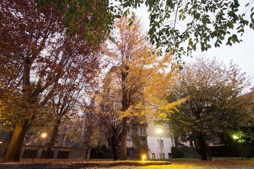 IH Hotels Milano ApartHotel Argonne Park