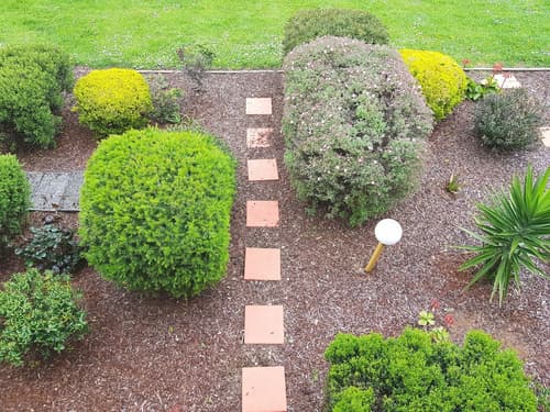 Seaview Motel and Apartments, Garden