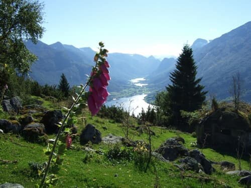 Stryn Hotel, Bicycling