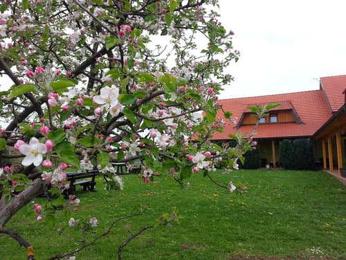 House Tina - Bed and Breakfast, View from room