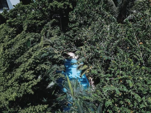 Hotel Casa Bárbara Holbox, Pool