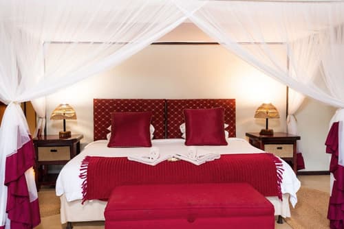 Leopard Walk Lodge, Room