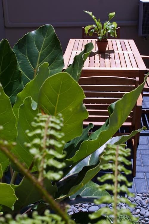 Regal Palms Resort, Room