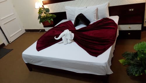 Cairo Paradise Hotel, Room