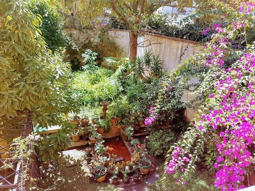 Casa Carmel Bed and Breakfast