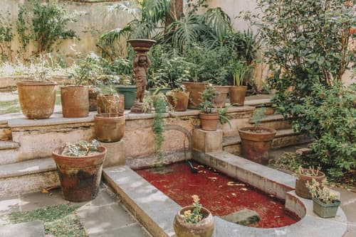 Casa Carmel Bed and Breakfast