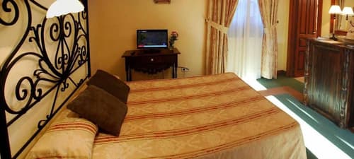 Hotel Alvar Fañez, Room