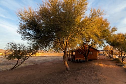 Soetdoring Selfsorg, Primary image