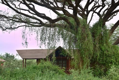 Kilima Safari Camp, Exterior