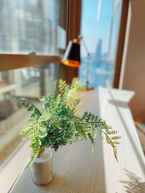 Hotel Alexandra, Room