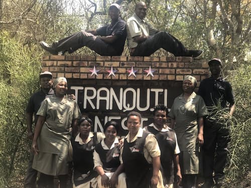 Tranquil Nest, Reception