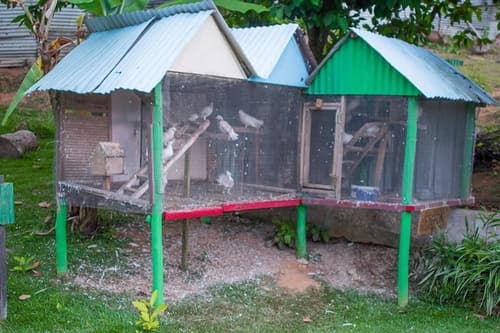 Evergreen Apartments