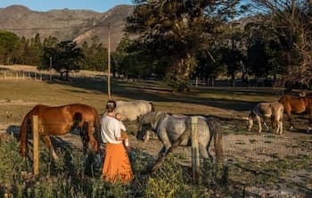 The Manor House At Knorhoek Estate