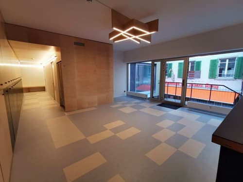 Green Marmot Capsule Hotel Zurich, Reception