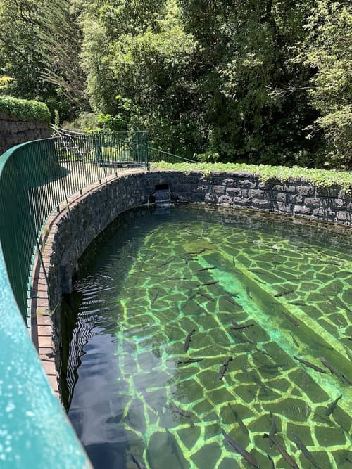 Casa do Ribeiro Frio