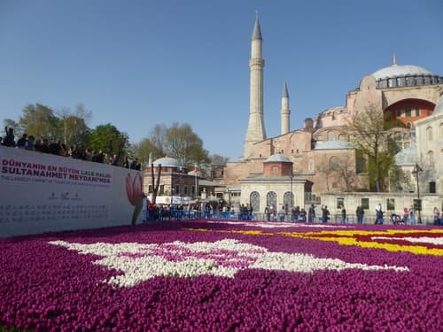 Renzo Hotel - Special Category