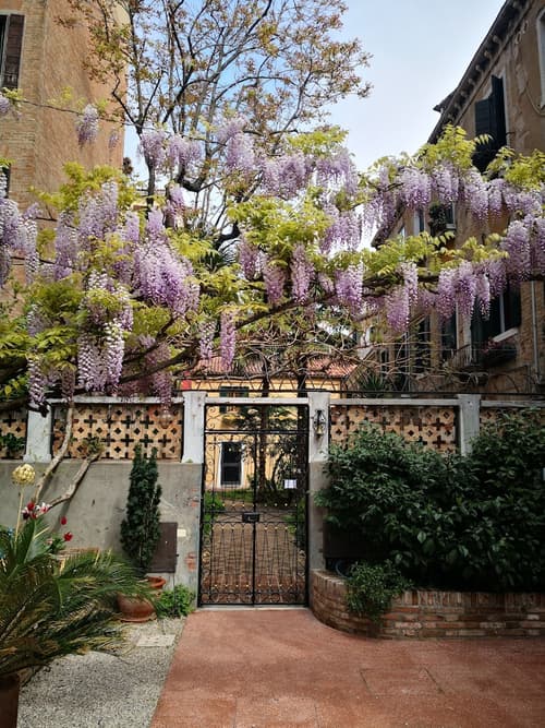 Cinqueteste Luxury Home Venice, Interior entrance