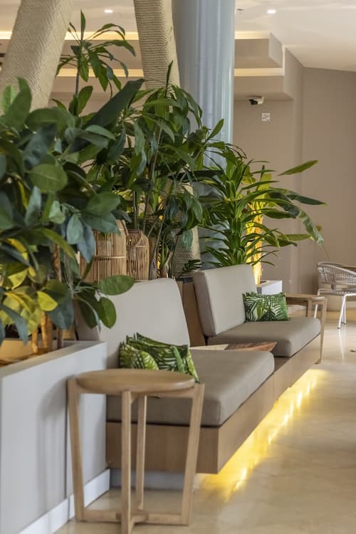 Grand Sirenis San Andres, Reception